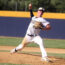 Will Litton