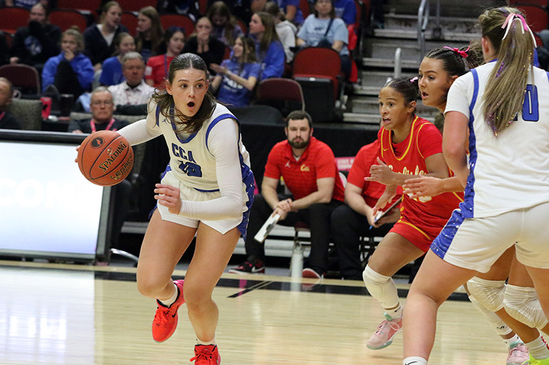 Averie Lower Averie Lower