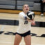 Addison Bollier